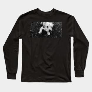 Skye`s the Limit Long Sleeve T-Shirt